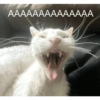 AAAAAAAAAAAAAA