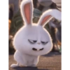 Bunny kelinci 4