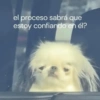 Memes Sin Sentido🥴🫧  20