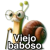 Memes V1👸🏻  4