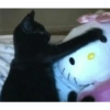 Hello kitty 10