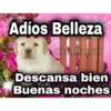 Adíos Belleza Li tialuri Descansa bien Buenas noches