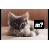 Fer_gie 13
