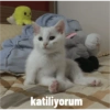 Biyu 17