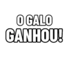 Figurinhas GALO 2021 2.0 14