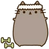 Gatinho fofo 26