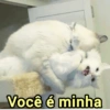 ➳ gato ⊱😽⊱╮
bit.ly/angels-69 30