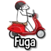 Flork Pa Responder📝📌  11