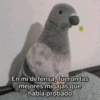 ☔☹️ Depresión - Triste☹️☔ 12