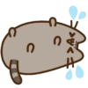Gatinho fofo 14