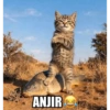 Stiker meme hitam😂 21