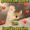 Te amo 11
