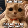 Cattiesays 😺🐈 25