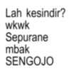 Lah kesindir? wkwk Sepurane mbak SENGOJO