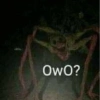 Memes. | @ocenferios  Haki. 6