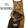 Michis Facultad 2 😿🔥 5