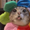 Rigby the Cat🐱🤪✨ 13