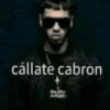 cállate cabron