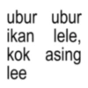 ubur ubur ikan lele, kok asing lee
