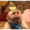 Monos 8