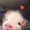 Amor para ti 2 17
