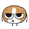 Dog. | @ocenferios  Haki. 7