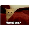 Figuras minhas 7