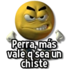Perra, más vale q sea un chiste