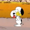Snoopy shows🪄 2✨ 20