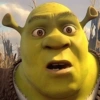 🏰🟢 SHREK MOODS 🟢🏰 20