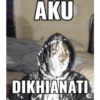 Jomoknye 11