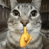 Gatitos😅 14