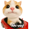 Frases de gatito #2🐱💬 18