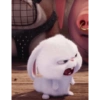 Snowball 🐇 22