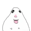 ෛ 🐹 Hamster ♡ @little.danito 21