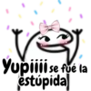 Yupiiii se fué la estúpida