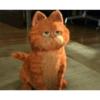 Garfield 6
