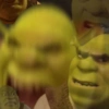 🏰🟢 SHREK MOODS 🟢🏰 22