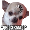 Perritos 14
