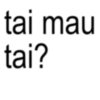 tai mau tai?