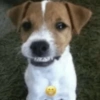 🤣Animalitos randoms🤣 6