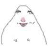 Hamster 3 7