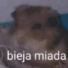 bieja miada