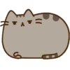 Gatinho fofo 5
