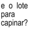 FRASES TOP 12