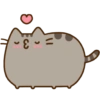 Gatinho fofo 11