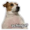 🗣️ Memes Variados 🗣️ 7