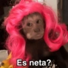 🙊🐒 Monitos 🐒🙈 12