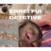 が ERREI, FUI DETETIVE