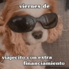 Hoy es viernes de... 15